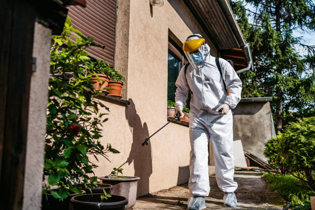 Best Wasp Removal Services  in Pike Creek Valley, DE