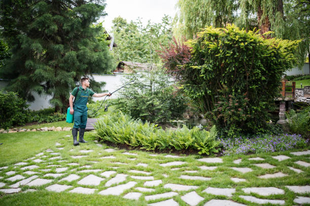 Best Residential Pest Control  in Pike Creek Valley, DE